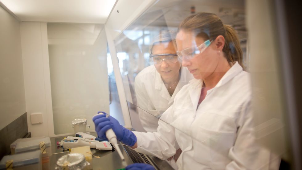 Betina Langemark på besök i laboratoriet där Madelene Lindkvist, senior forskare, testar kemiska substanser för framtida läkemedel. Lindkvist är en av de över 300 forskare som Astra Zeneca har rekryterat på senare tid.