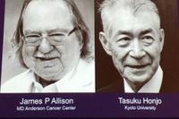 James P Allison och Tasuku Honjo får Nobelpriset i medicin. 
