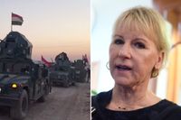 Utrikesminister Margot Wallström (S) och hennes regeringskollegor måste i dagarna bestämma sig för om den svenska Irakinsatsen ska fortsätta.
