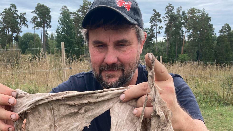  Arlabonden Jörgen Ericsson konstaterar: av den vita ekologiska bomullen återstår bara rester.