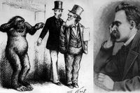 Charles Darwin, här avtecknad 1871, fick mothugg av Friedrich Nietzsche. 