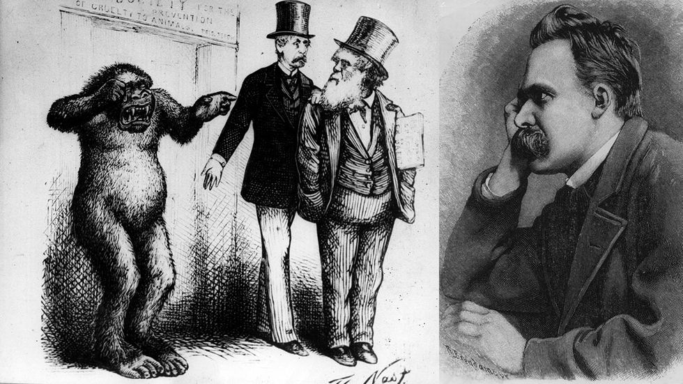 Charles Darwin, här avtecknad 1871, fick mothugg av Friedrich Nietzsche. 