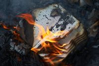 Är det okej att elda en bok i politiskt syfte?