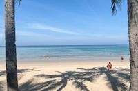  I november tog Thailand beslutet att försöka att blåsa liv i ekonomin – ”Phuket Sandbox” infördes.