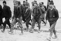 En grupp män i Belgrad 1914 på väg att anmäla sig som frivilliga på väg.