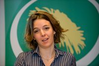 Svenska FN-experten Zaida Catalán hade en bakgrund inom Miljöpartiet. Arkivbild.