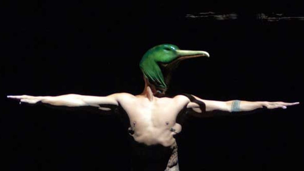 Dansarna från Mau company tar upp djurens rörelser i Birds with skymirrors.