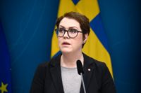 Socialminister Lena Hallengren frågas ut i konstitutionsutskottet om pandemihanteringen. Arkivbild.