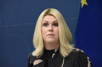 Socialminister Lena Hallengren (S) tillsätter nu den tidigare utlovade utredningen om internationella adoptioner.