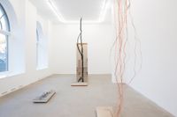 Installationsvy från Hannah Ljungs utställning ”Anatomy of a descent” på Anna Bohman Gallery.