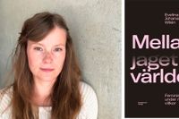 ”Mellan jaget och världen” är Evelina Johansson Wiléns doktorsavhandling i genusvetenskap vid Göteborgs universitet.
