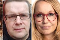 Anne Grietje Franssen, Jan-Erik Andelin och Therese Sollien följer den politiska utvecklingen – eller bristen därpå – i Sverige.