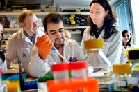 Forskargruppen på Karolinska institutet kopplar vanliga virus till hjärntumörer och bröstcancer.