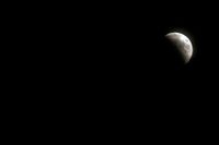 Space X säljer nu biljetter till månen och tillbaka. Bilden är tagen i Istanbul i somras.