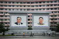 En läcka tidigare i september visade att det endast finns 28 hemsidor registrerade med den nordkoreanska .kp-domänen.