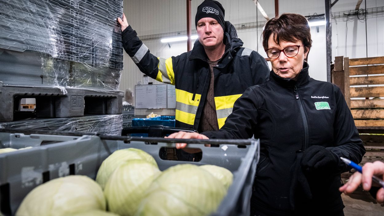 Odlaren Robert Forsberg är en av medlemmarna hos Moek, där affärsområdeschefen Anette Borgström ser till att odlarna får sina grönsaker sålda.  