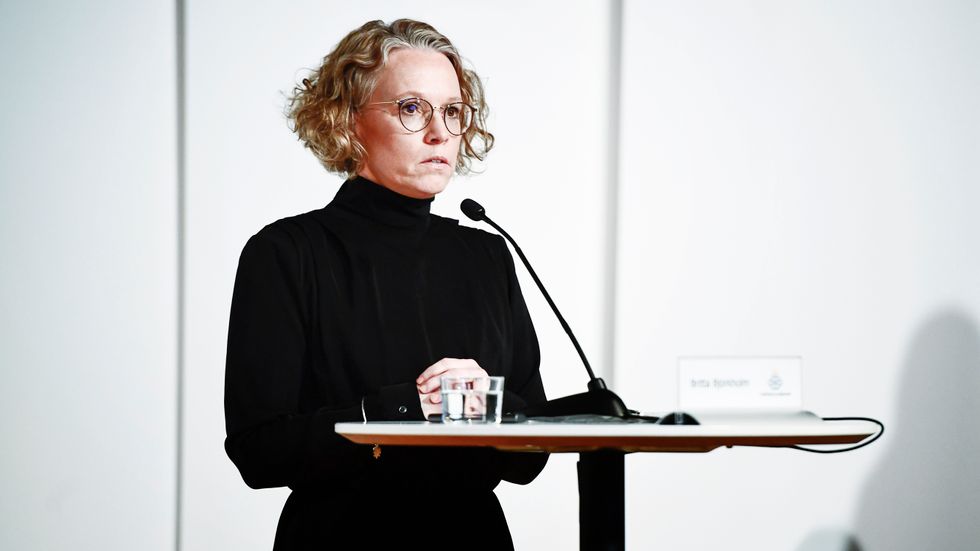 Britta Björkholm, avdelningschef, Folkhälsomyndigheten.