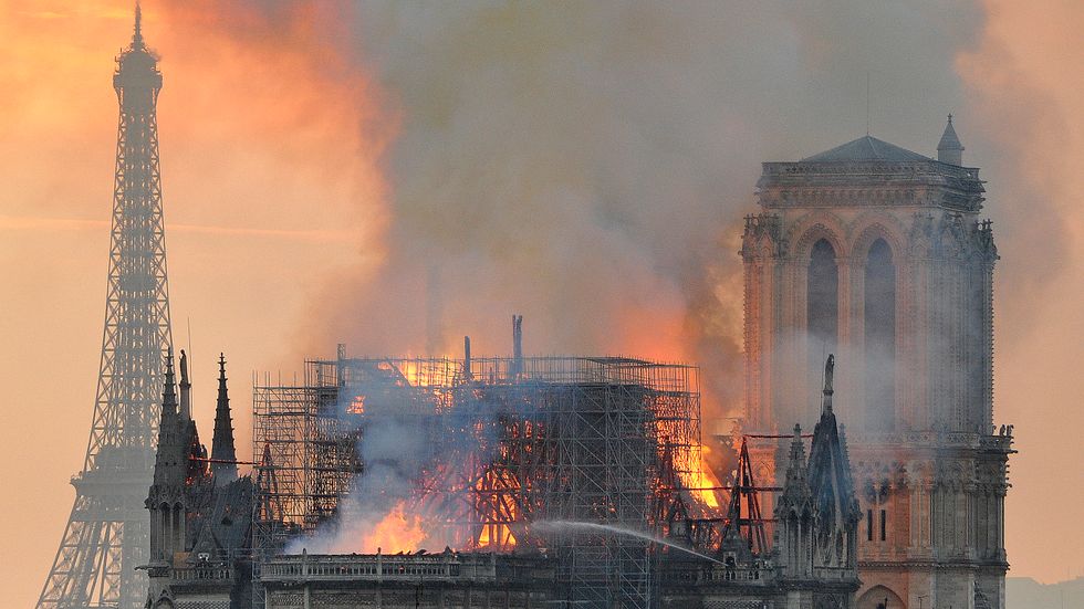 Den våldsamma branden i Notre-Dame i måndags nådde aldrig tre bikupor med uppskattningsvis 180 000 invånare.