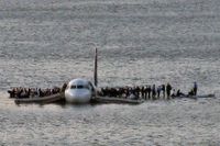 Flygolyckan där piloten lyckades nödlanda på Hudson River berodde på att fåglar kom in i motorerna under start. Alla passagerare överlevde. Statistik visar dock att risken för att dö är som störst just under start.