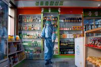 Experter menar att Nordkoreas sjuksystem är illa rustat för ett eventuellt större virusutbrott.