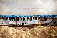 al-Hol-lägret där IS-medlemmar från hela världen har hållits.