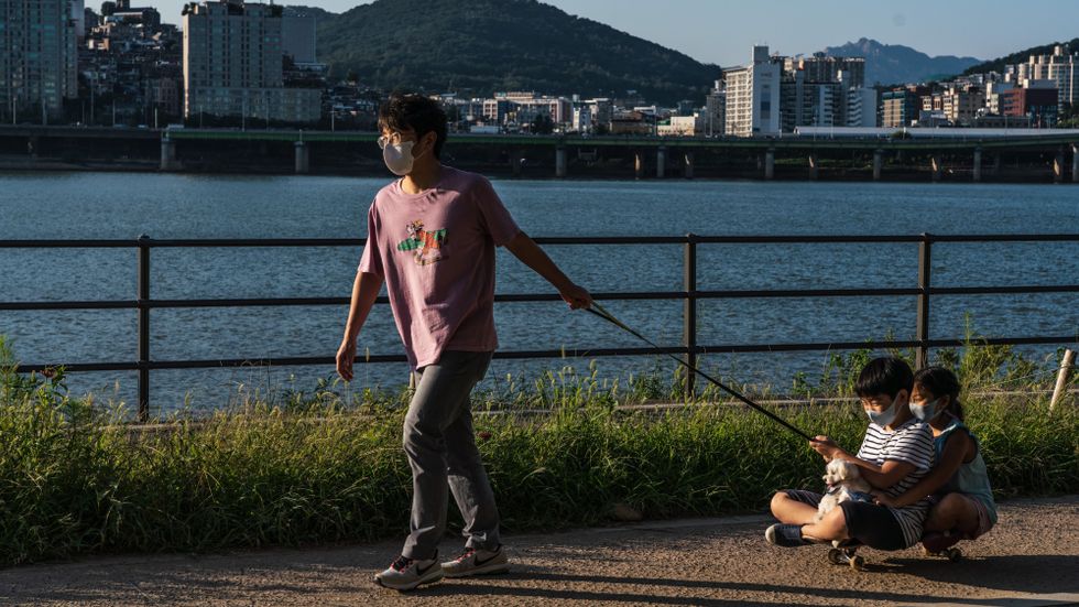 En man drar sina barn på en skateboard i en park i Seoul, Sydkorea. 