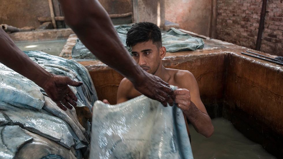 Läderindustrin använder olika kemikalier och syror för att bearbeta materialet. Här tar en arbetare i Savar upp ett skinn efter en kemisk behandling. 