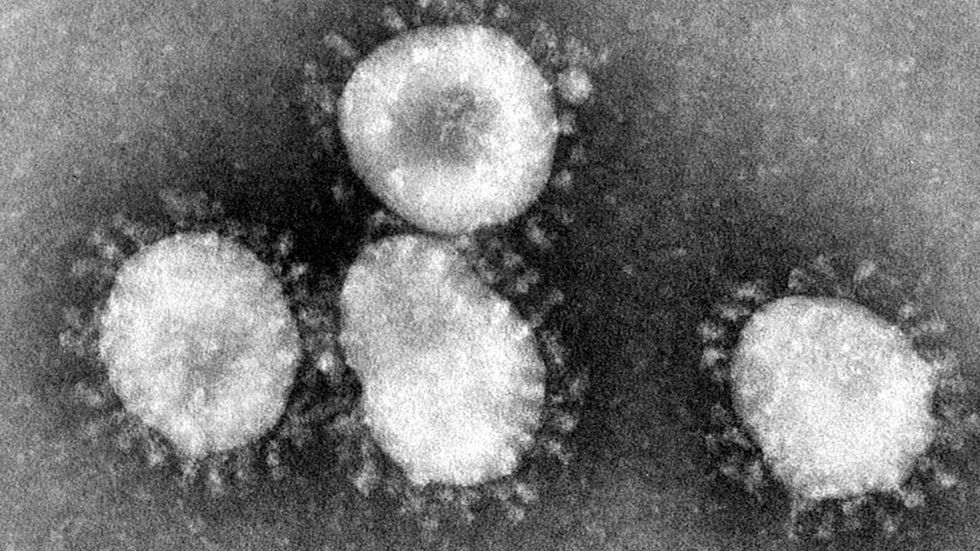 Bild av ett coronavirus med dess karaktäristiska krona.