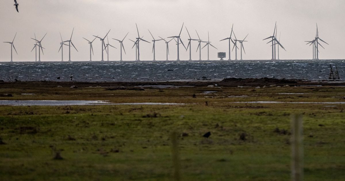 Havsbaserad vindkraft är tio gånger dyrare än kärnkraft, skriver Leif Östling med flera