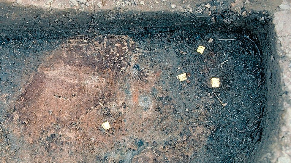 Fyra guldgubbar in situ i stolphål på Slöingeboplatsen (RAÄ-nummer Slöinge 114:1) i Slöinge i Halland.