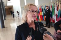 Migrationsminister Heléne Fritzon (S) på EU-möte i Luxemburg.