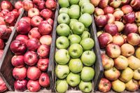 ”Våra krav på att exempelvis fläckfria äpplen gör att ofantliga mängder mat ratas längre ner i kedjan”, skriver Peter Alestig. 