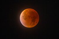 När solens strålar träffar månen genom jordens atmosfär färgas månen röd. Arkivbild.