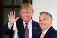I Donald Trumps USA och Viktor Orbáns Ungern utmanas pressfriheten allt mer.