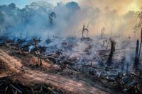 Men i fallet med Amazonas är det kanske ännu viktigare att ställa sig den omvända frågan: är det bränderna som ligger bakom klimatförändringen, skriver SvD:s Peter Alestig.