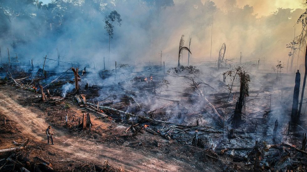 Men i fallet med Amazonas är det kanske ännu viktigare att ställa sig den omvända frågan: är det bränderna som ligger bakom klimatförändringen, skriver SvD:s Peter Alestig.