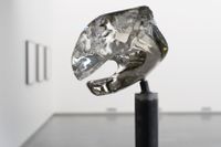 Jimmie Durham, ”Nekton” , 2021. Skalle, trä, glas, metall. 