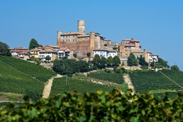 Vinodlingar utanför den medeltida staden Castiglione Falletto.