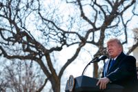 Donald Trump talar för demonstranterna från Vita husets rosenträdgård 2018.