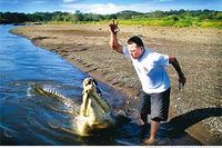 Tárcolesfloden är trots tillflödet av föroreningar en av världens krokodiltätaste floder. Här showar Jayson Vargas med kött och krokodil.