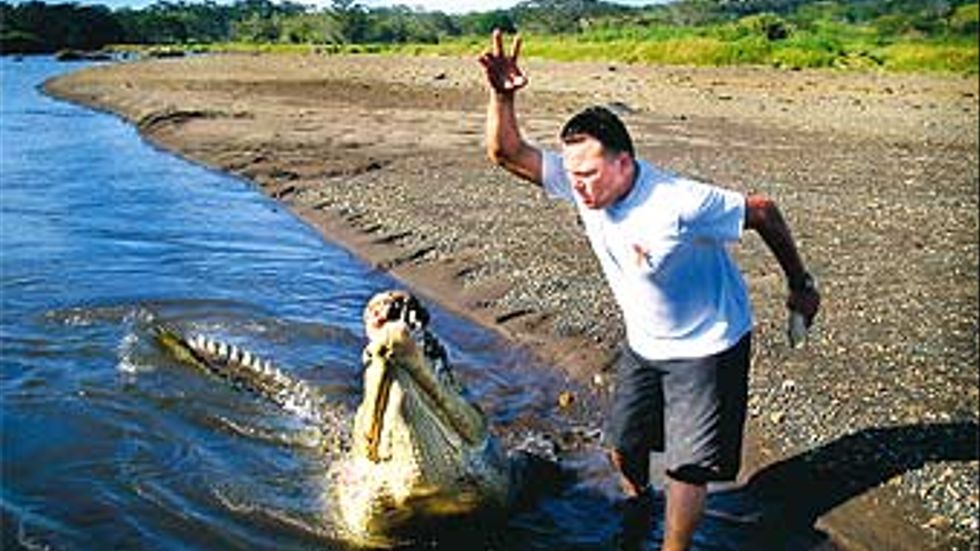 Tárcolesfloden är trots tillflödet av föroreningar en av världens krokodiltätaste floder. Här showar Jayson Vargas med kött och krokodil.