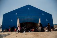 Syriska al-Hol-lägret, där uppåt 70 svenska barn sitter fast.