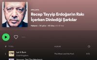 Satiriska namn på spellistor har lett till att åklagare har inlett en förundersökning mot Spotify i Erdogans Turkiet.