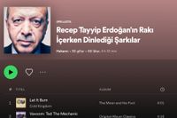 Satiriska namn på spellistor har lett till att åklagare har inlett en förundersökning mot Spotify i Erdogans Turkiet.