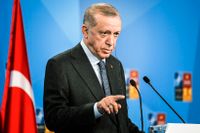 Turkiet vill fortsätta förhandla om EU-medlemskap om landet ska släppa in Sverige i Nato, enligt president Erdogan. Arkivbild.