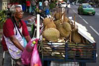 Den taggiga stora stinkande frukten durian.