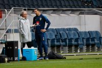 Förbundskapten Janne Andersson och Zlatan Ibrahimovic inför en VM-kvalmatch 2020. Arkivbild.