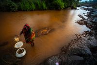 En invånare i en fattig by i Jajpurdistriktet i Indien samlar vatten i en damm som misstänks innehålla gifter, enligt nyhetsbyrån AP. 