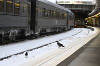 Snö skapade problem för tågtrafiken i november. Arkivbild.