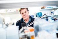 Tomas Bergström, professor i virologi vid Göteborgs universitet, och en av Sveriges främsta experter på coronavirus manar samtidigt till visst lugn eftersom vaccinet fungerar mot den brittiska varianten.